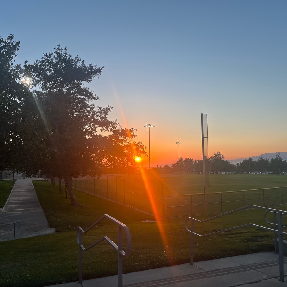 Meet your Posher, Dallas